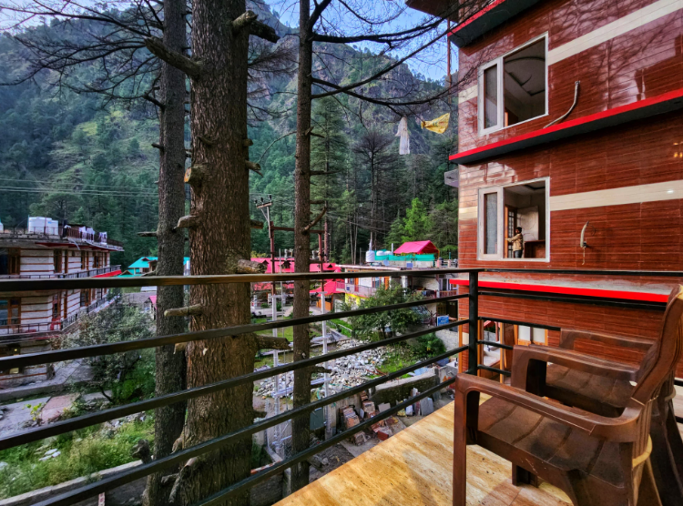 Hotel Pine Tree