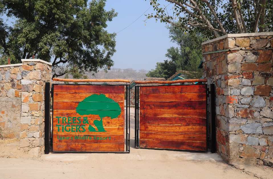 Trees and Tigers Sariska